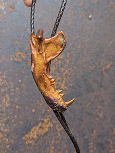 Virginia Opossum Jaw Bolo Tie