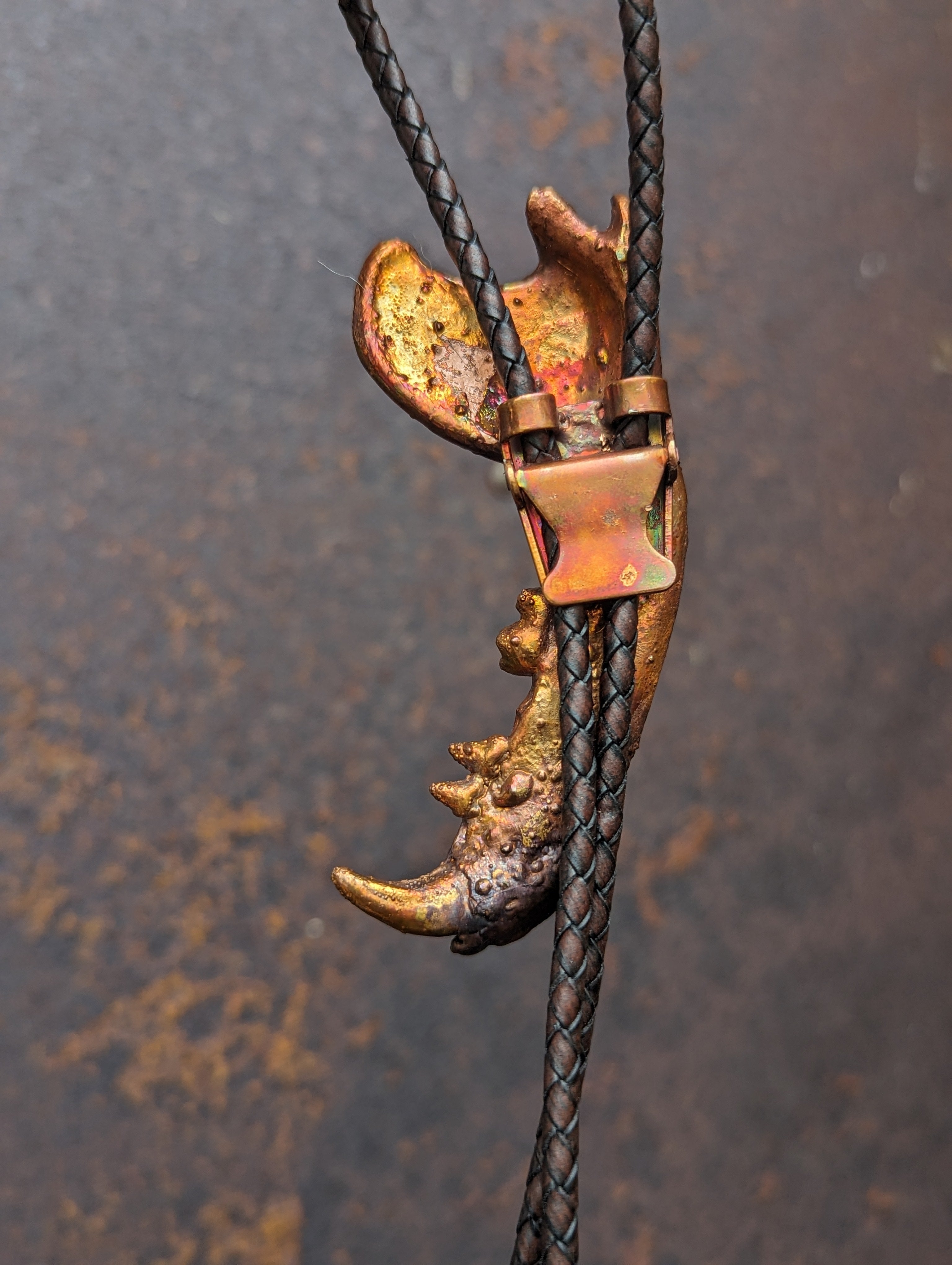 Virginia Opossum Jaw Bolo Tie