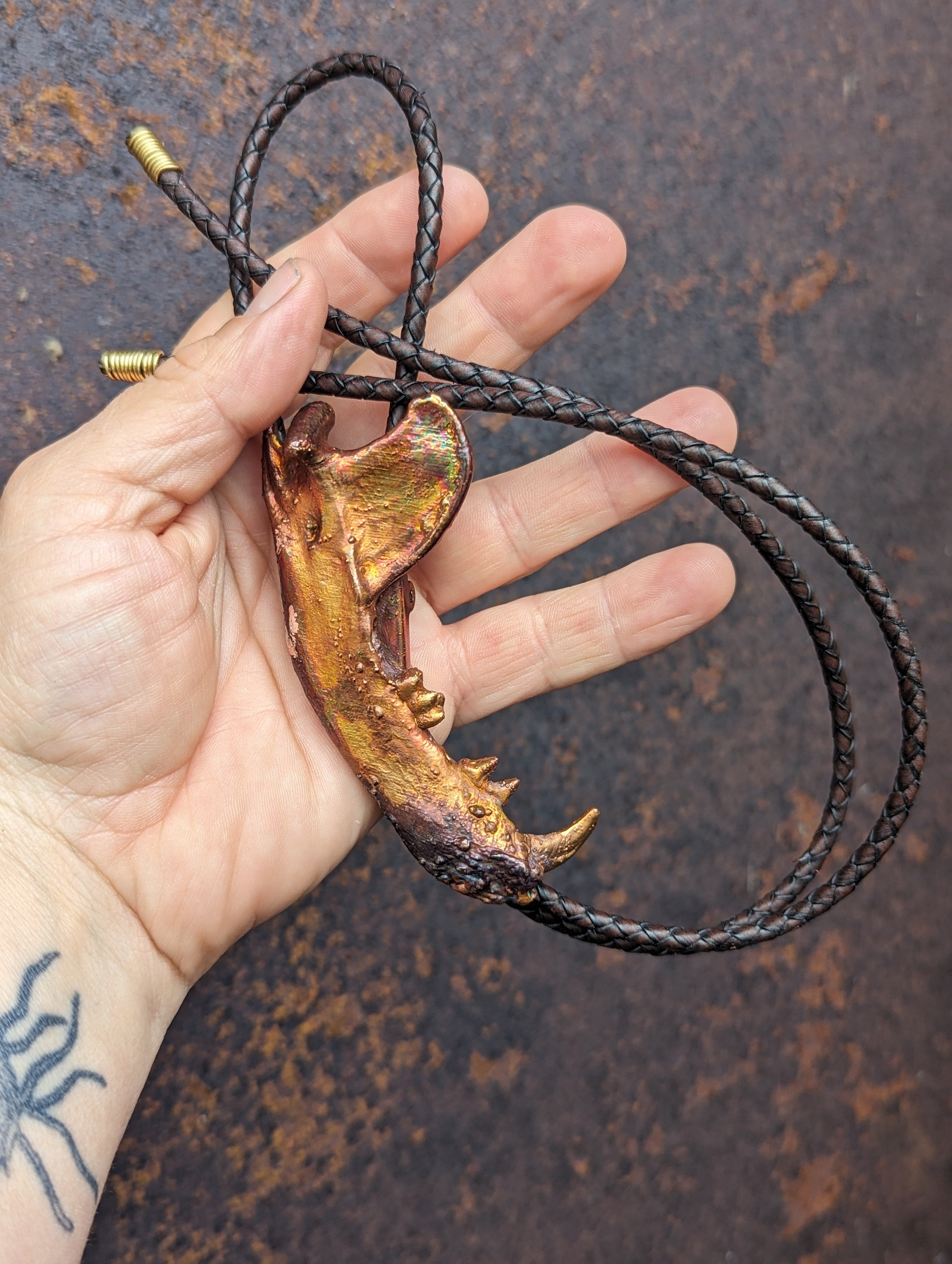 Virginia Opossum Jaw Bolo Tie