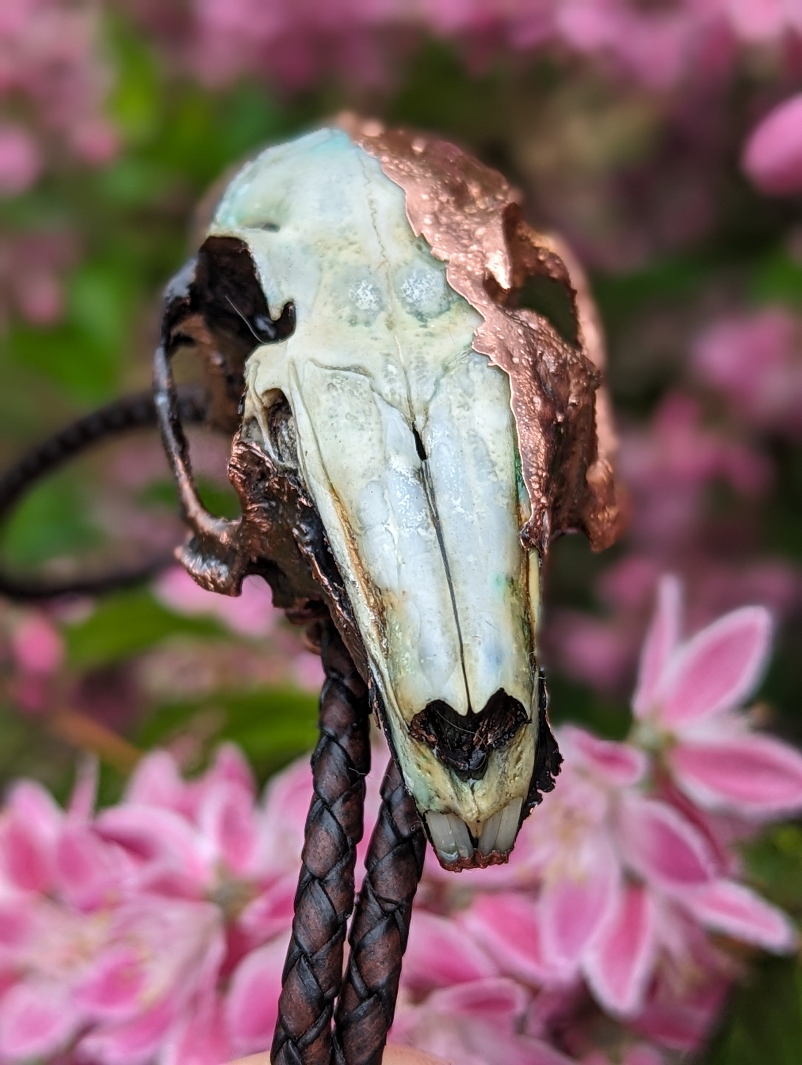 Rabbit Skull Bolo Tie