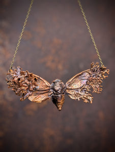 Cicada with Lichen Wings