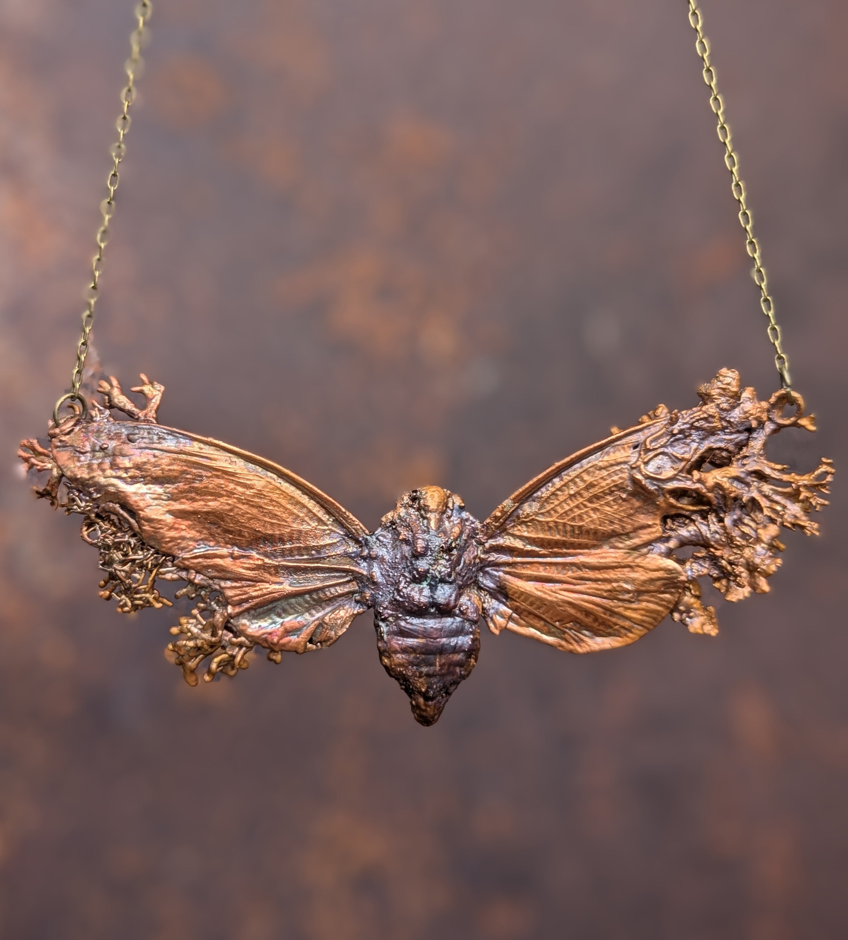 Cicada with Lichen Wings