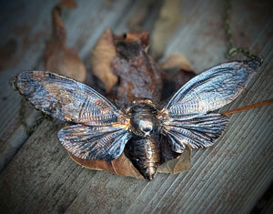 Cicada Necklace