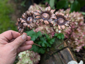 Oxeye Daisy Headband