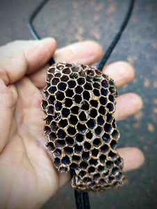 Wasp Nest Bolo Tie