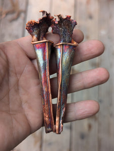 Carnivorous Sarracenia Ear Hangers